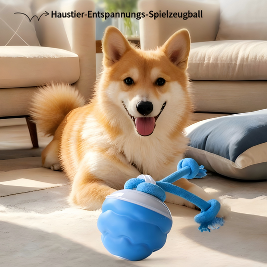 🐾   Interaktive elektrische Haustierspielzeugbälle – Auto-Bewegung, bissresistent und beruhigend für Katzen/Hunde, Langweilerentferner 🔋✨🎾